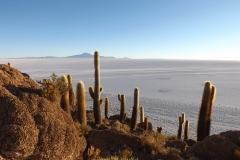 The cactus-filled "island," Incahuasi, overlooking the Salar de Uyuni, the world's largest saltflat.