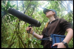 Christina Bergey with a microphone in Ranomafana National Park, Madagascar, studying the vocal communication of the critically endangered greater bamboo lemurs (<i>Prolemur simus</i>). Photo by Sarah Zohdy.
