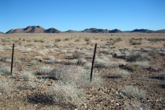 So much empty space surrounded by fences in Namibia.